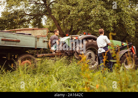 Zwei Menschen mit Traktor beim cherry Ernte im Orchard Stockfoto