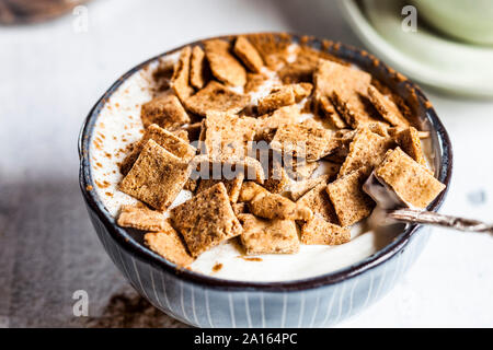 Nahaufnahme der frische, hausgemachte gebackene Zimt Müsli mit Joghurt in der Schüssel Stockfoto