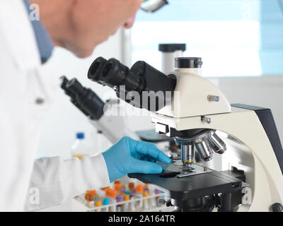 Medizinische Untersuchung, Wissenschaftler untersuchen ein Glas Folie mit einem menschlichen Probe unter dem Mikroskop und Blutprobe Stockfoto