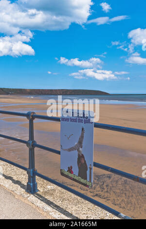 Dh Promenade Coventry North Yorkshire Nicht füttern Möwen Strand Schild seagull Problem Stockfoto