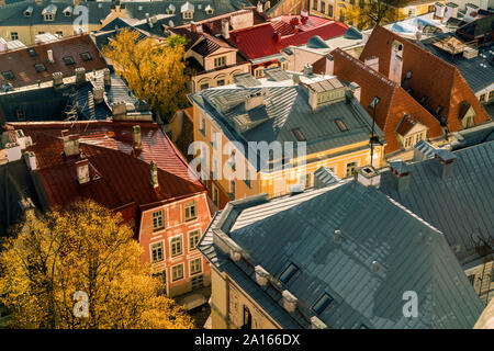 Blick auf die Häuser in der Altstadt vom Kirchturm der St. Olaf, Tallinn, Estland gesehen Stockfoto