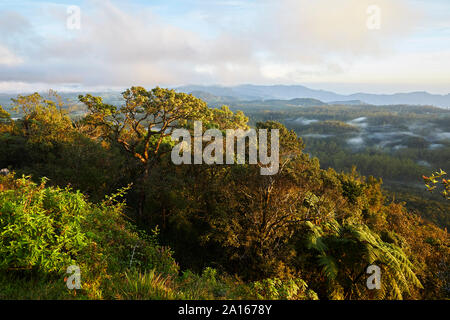 Sonnenaufgang an der Grenze von Horton Plains Nationalpark, Nuwara Eliya, Sri Lanka Stockfoto