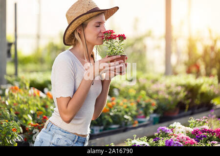 Schöne junge Frau riecht an Blumen im Gewächshaus Stockfoto