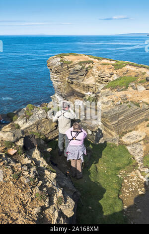 dh Brough von Birsay BIRSAY ORKNEY Paar beim Fotografieren von Papageientauchern Touristen scotland Papageientaucher brüdercula arctica Menschen Stockfoto