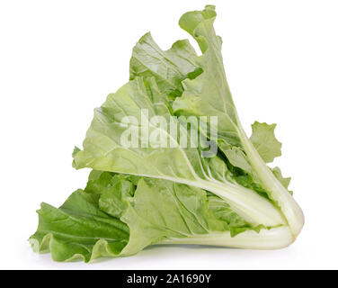 Chinakohl auf weißem Hintergrund Stockfoto
