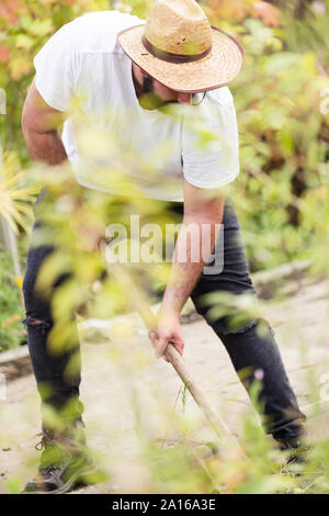 Junger Mann bei der Arbeit im Gewächshaus Stockfoto