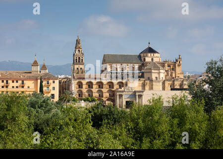 Spanien, Andalusien, Cordoba, Altstadt, Moschee - Dom Stockfoto