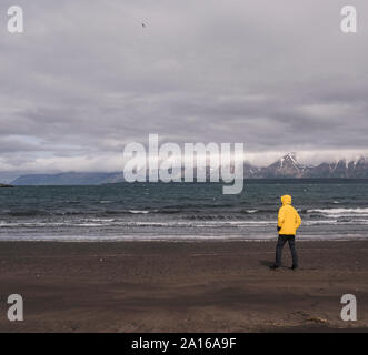 Matuer Mann stand auf Lava Strand bei Eyjafjordurfjord, Island, mit Blick auf das Meer Stockfoto