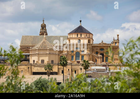 Spanien, Andalusien, Cordoba, Moschee - Dom Stockfoto