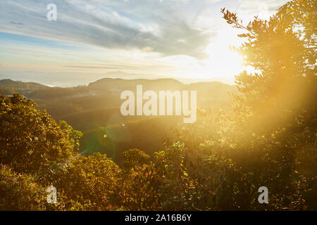 Sonnenaufgang an der Grenze von Horton Plains Nationalpark, Nuwara Eliya, Sri Lanka Stockfoto