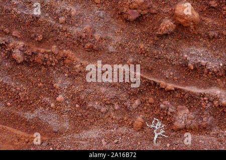 Red Beach auf der Insel Santorin, Griechenland Stockfoto