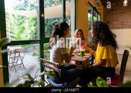 Drei glückliche junge Frauen mit Smoothies treffen in einem Cafe Stockfoto