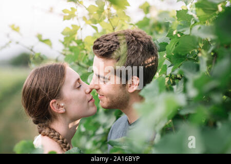 Junges Paar in Liebe in die Weinberge Stockfoto