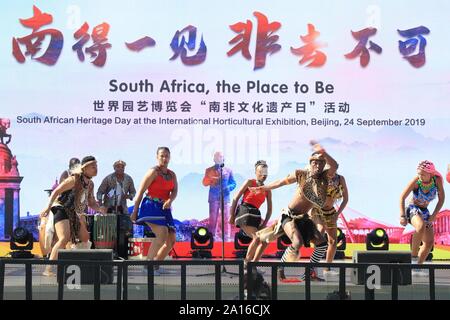 (190924)-BEIJING, Sept. 24, 2019 (Xinhua) - Künstler während der "South African Heritage Day" Veranstaltung der Peking Internationale Gartenbauausstellung in Peking, der Hauptstadt von China, Sept. 24, 2019. Die Expo fand die "South African Heritage Day" am Dienstag. (Foto von Duan Xuefeng/Xinhua) Stockfoto