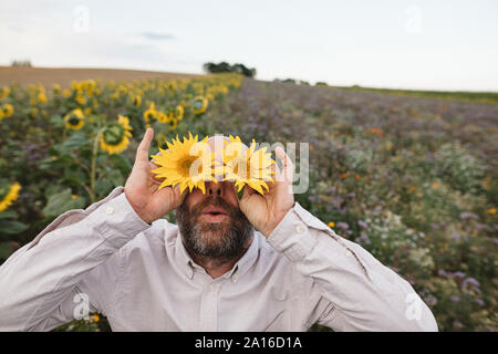 Verspielter Mann, die seine Augen mit Sonnenblumen in einem Feld Stockfoto