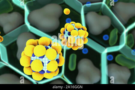 Hochwertige 3D-Render von Fettzellen, Cholesterin in den Zellen, Zellen, die Struktur des Moleküls, Rezeptoren auf den Zellen Oberfläche Stockfoto