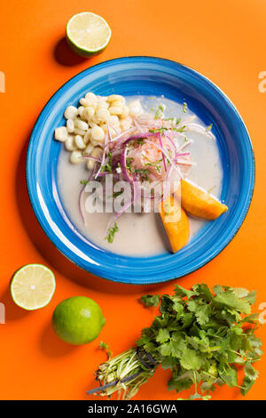 Meeresfrüchte Ceviche, typisches Gericht aus Peru Stockfoto