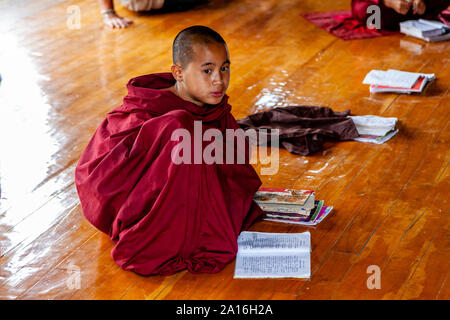 Ein Anfänger Mönch studieren, Yaunghwe Kyaung Kloster Shwe Nyaung Shwe See Inle, Shan Staat, Myanmar Stockfoto