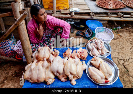 Eine Frau verkaufen Hühner auf den Tag bei Ywama Village, Lake Inle, Shan Staat, Myanmar Stockfoto