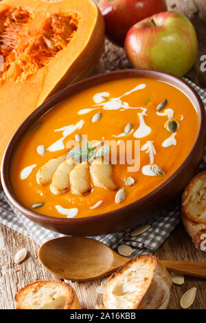 Kürbis Apfelmus Suppe mit Samen, Joghurt und Minze Nahaufnahme auf dem Tisch. Vertikale Stockfoto