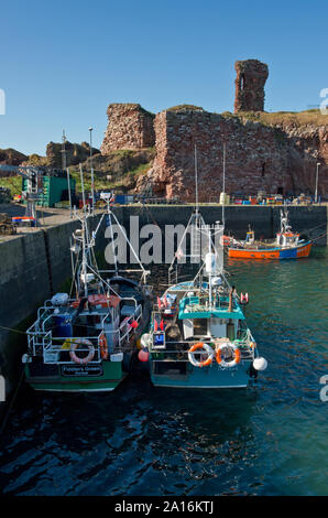 Angeln Boote in der Nähe von Dunbar Castle im Victoria Harbour, Dunbar. Schottland Stockfoto