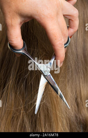 Hände von Friseur Haare schneiden mit Schere, Nahaufnahme Stockfoto