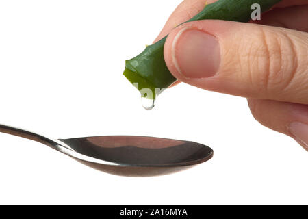 Hand zusammendrücken der Saft der Aloe vera in Löffel auf weißem Hintergrund Stockfoto