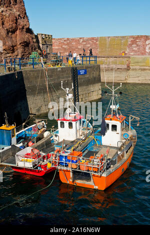 Fischerboote in den Victoria Harbour, Dunbar. Schottland Stockfoto