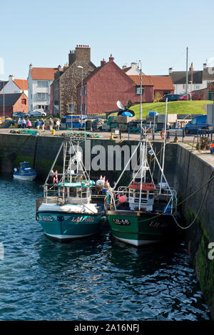 Fischerboote in den Victoria Harbour, Dunbar. Schottland Stockfoto