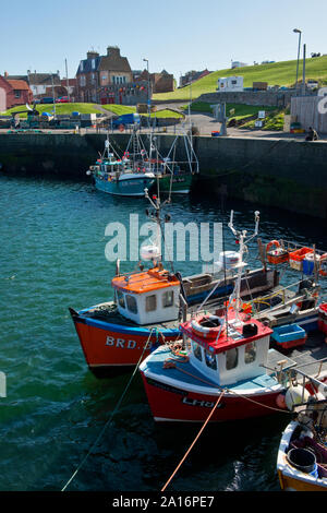 Fischerboote in den Victoria Harbour, Dunbar. Schottland Stockfoto