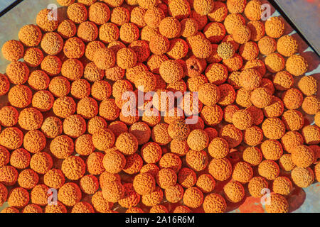 Quandong Samen getrocknet. Australien bush Speisen, die von australischen Aborigines gegessen. Santalum Acuminatum oder quandong in der Wüste ist eine rote Früchte, die in zentralen Stockfoto