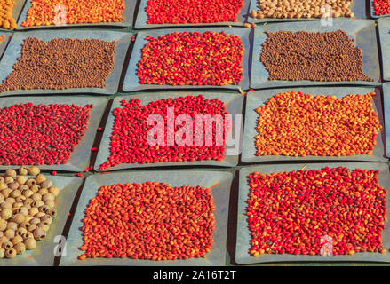 Hintergrund mit unterschiedlichen und bunten Bush Samen. Australien bush Speisen, die von australischen Aborigines gegessen. Northern Territory. Stockfoto