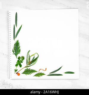 Tee Kräuter noch leben Flatlay auf weißem Hintergrund Stockfoto