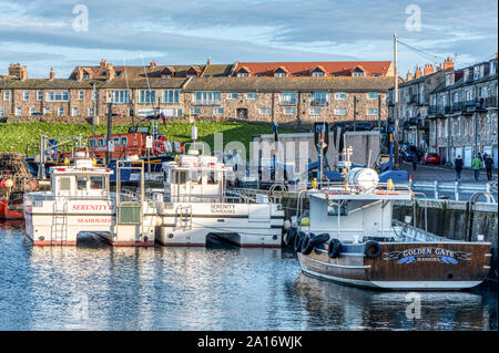 Farne Islands Fähren in Nevsehir Hafen, Northumberland, GROSSBRITANNIEN GÜNSTIG Stockfoto