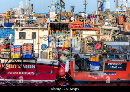 Quo Vadis und Verheißenen Land, zwei Fischerboote in Nevsehir Hafen, Northumberland, Großbritannien Stockfoto