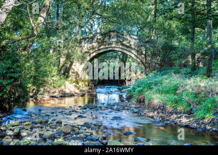 Hunter's Sty Brücke, eine mittelalterliche Brücke über den Fluss Esk, Westerdale, North Yorkshire Moors, Großbritannien Stockfoto