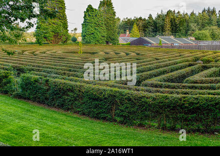 Riesige Eibe Labyrinth an Doxford Hall Hotel, Chathill, Alnwick, Northumberland, Großbritannien Stockfoto