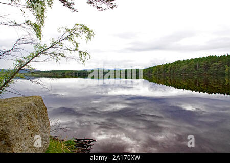 Loch Garten, Boot von Garten, Nethy Bridge, Scottish Highlands, Cairngorms, Schottland Stockfoto