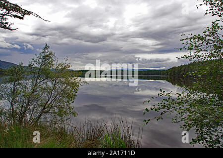 Loch Garten, Boot von Garten, Nethy Bridge, Scottish Highlands, Cairngorms, Schottland Stockfoto