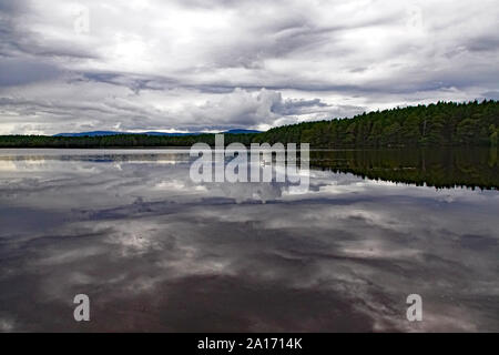 Loch Garten, Boot von Garten, Nethy Bridge, Scottish Highlands, Cairngorms, Schottland Stockfoto