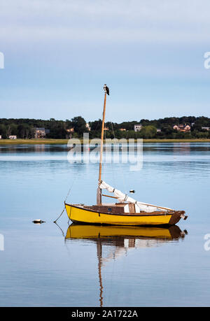 Osprey thront auf dem Mast eines kleinen Segelboot, Wellfleet, Cape Cod, Massachusetts, USA. Stockfoto