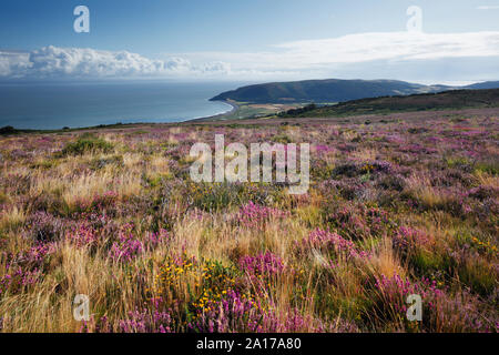 Blick von porlock Gemeinsame über Porlock Bay. Exmoor National Park. Somerset. UK. Stockfoto