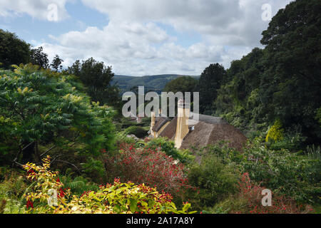 Reetgedeckte Cottages in Selworthy Dorf. Exmoor National Park. Somerset. UK. Stockfoto