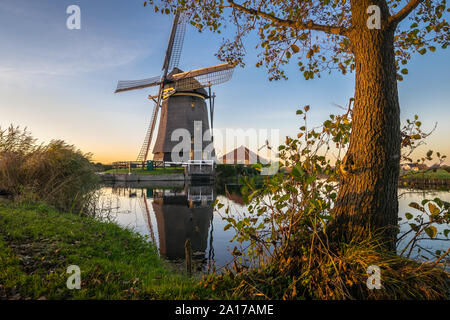 Holländische windmühle an einem Kanal mit Baum bei Sonnenuntergang Stockfoto