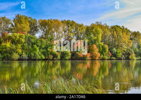 Farbenprächtige herbstlandschaft am Ufer des Flusses. Mehrfarbige helles Laub der Bäume und Sträucher des Waldes und blauer Himmel im Wasser reflektiert. Gree Stockfoto