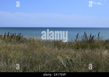 Die steilen Ufer des Meeres in der Steppe. Gras Landschaft in der Nähe der Marine in der Nähe Meer. Schöne Landschaft. Reisen Hintergrund. Stockfoto