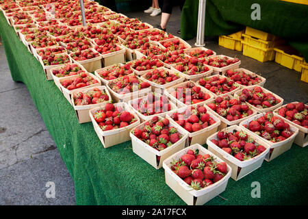 Schachteln von Erdbeeren ist, die für den Verkauf an den Chicago frische Lebensmittel Farmers Market Chicago Illinois Vereinigte Staaten von Amerika Stockfoto