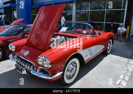 Ein 1959 Chevrolet Corvette Cabrio auf dem Display an einem Auto zeigen. Stockfoto