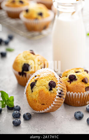 Chocolate Chip und blueberry muffins mit Milch Stockfoto