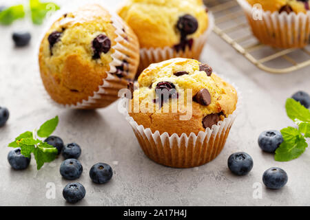 Chocolate Chip und blueberry muffins mit Milch Stockfoto